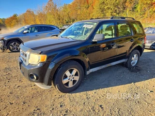 FORD ESCAPE XLS