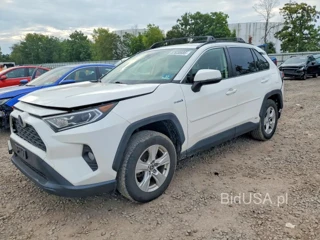 TOYOTA RAV4 HYBRID XLE