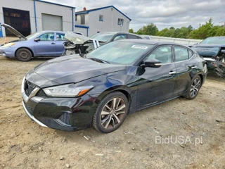 NISSAN MAXIMA SV