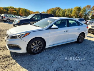 HYUNDAI SONATA SPORT