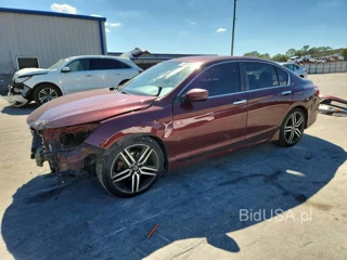 HONDA ACCORD SPORT