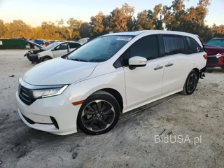 HONDA ODYSSEY ELITE