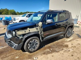JEEP RENEGADE TRAILHAWK