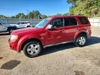 FORD ESCAPE XLT