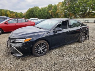 TOYOTA CAMRY XLE