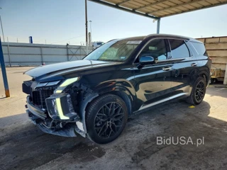 HYUNDAI PALISADE CALLIGRAPHY
