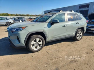 TOYOTA RAV4 HYBRID XLE