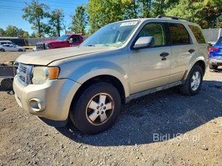 FORD ESCAPE XLT
