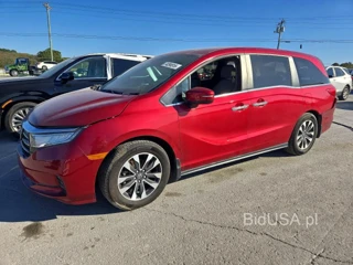 HONDA ODYSSEY EXL