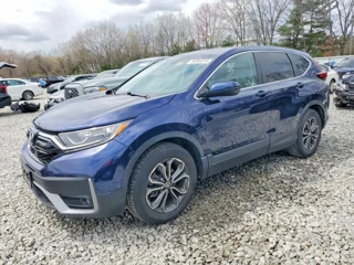 HONDA CR-V EX