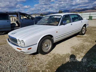 JAGUAR VANDENPLAS