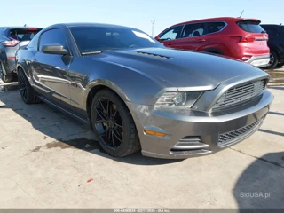 FORD FORD MUSTANG GT