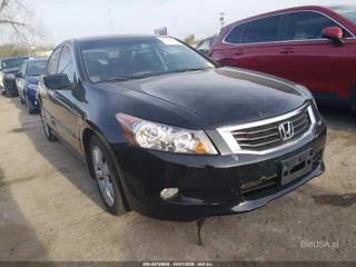 HONDA HONDA ACCORD 3.5 EX-L