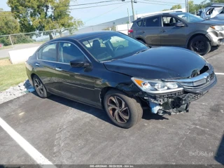 HONDA HONDA ACCORD LX