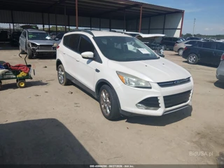 FORD FORD ESCAPE SEL