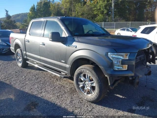 FORD FORD F-150 XLT