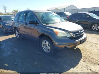 HONDA HONDA CR-V LX