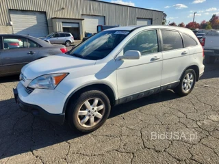 HONDA CR-V EXL