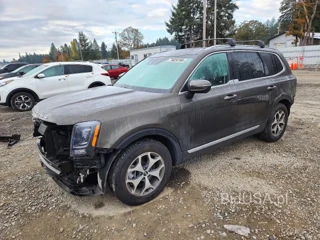 KIA TELLURIDE EX