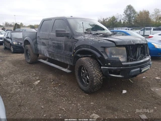 FORD FORD F-150 SVT RAPTOR