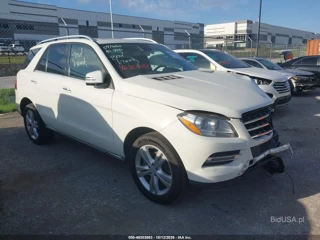 MERCEDES-BENZ MERCEDES-BENZ ML 350