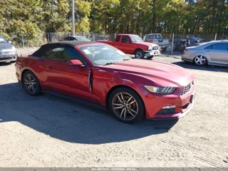 FORD FORD MUSTANG ECOBOOST PREMIUM