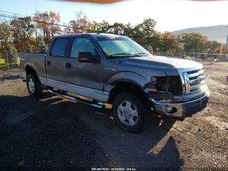 FORD FORD F-150 XL/XLT