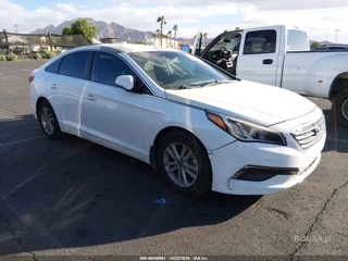 HYUNDAI HYUNDAI SONATA ECO