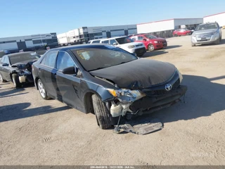TOYOTA TOYOTA CAMRY SE