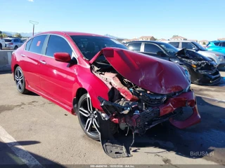 HONDA HONDA ACCORD SPORT