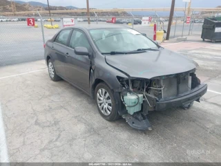 TOYOTA TOYOTA COROLLA LE