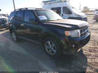 FORD FORD ESCAPE XLT