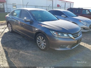 HONDA HONDA ACCORD EX-L V-6