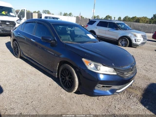 HONDA HONDA ACCORD SPORT
