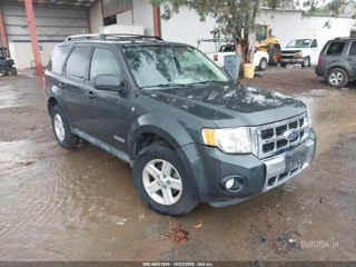 FORD FORD ESCAPE HYBRID