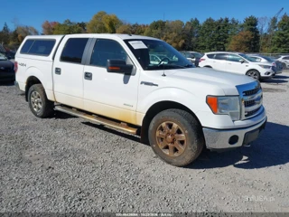 FORD FORD F-150 XLT