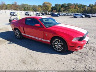FORD FORD MUSTANG V6 PREMIUM