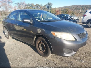 TOYOTA TOYOTA COROLLA LE