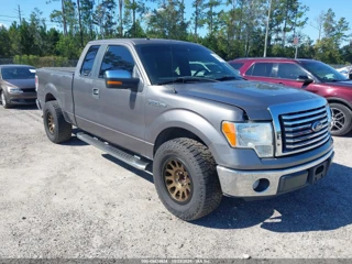 FORD FORD F-150 XLT