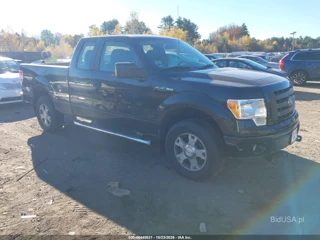 FORD FORD F-150 STX/XL