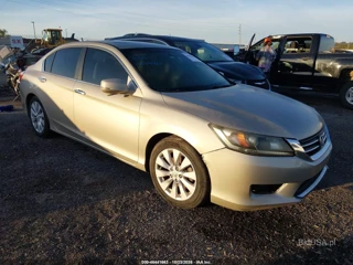 HONDA HONDA ACCORD EX