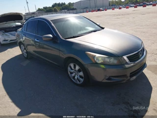 HONDA HONDA ACCORD 3.5 EX-L