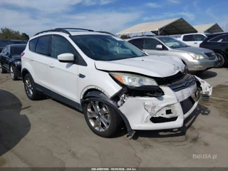 FORD FORD ESCAPE SE