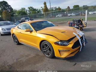 FORD FORD MUSTANG ECOBOOST FASTBACK