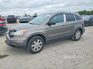 HONDA CR-V SE