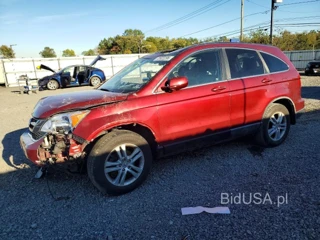 HONDA CR-V EXL