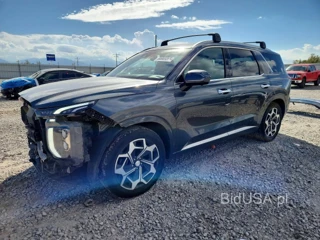 HYUNDAI PALISADE CALLIGRAPHY