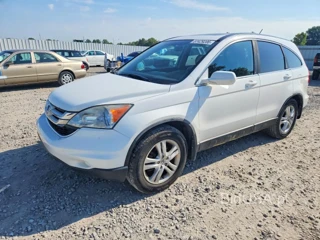 HONDA CR-V EXL