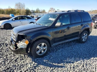 FORD ESCAPE XLT