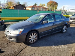 HONDA ACCORD SE